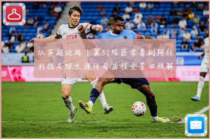 从英超边路飞翼到绿茵常青树阿什利扬足球生涯传奇历程全景回顾解析